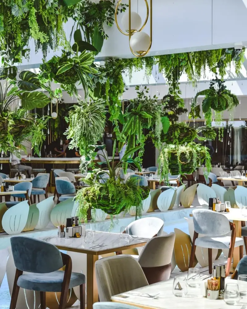 Restaurant nuntă Constanța – Restaurant Reyna